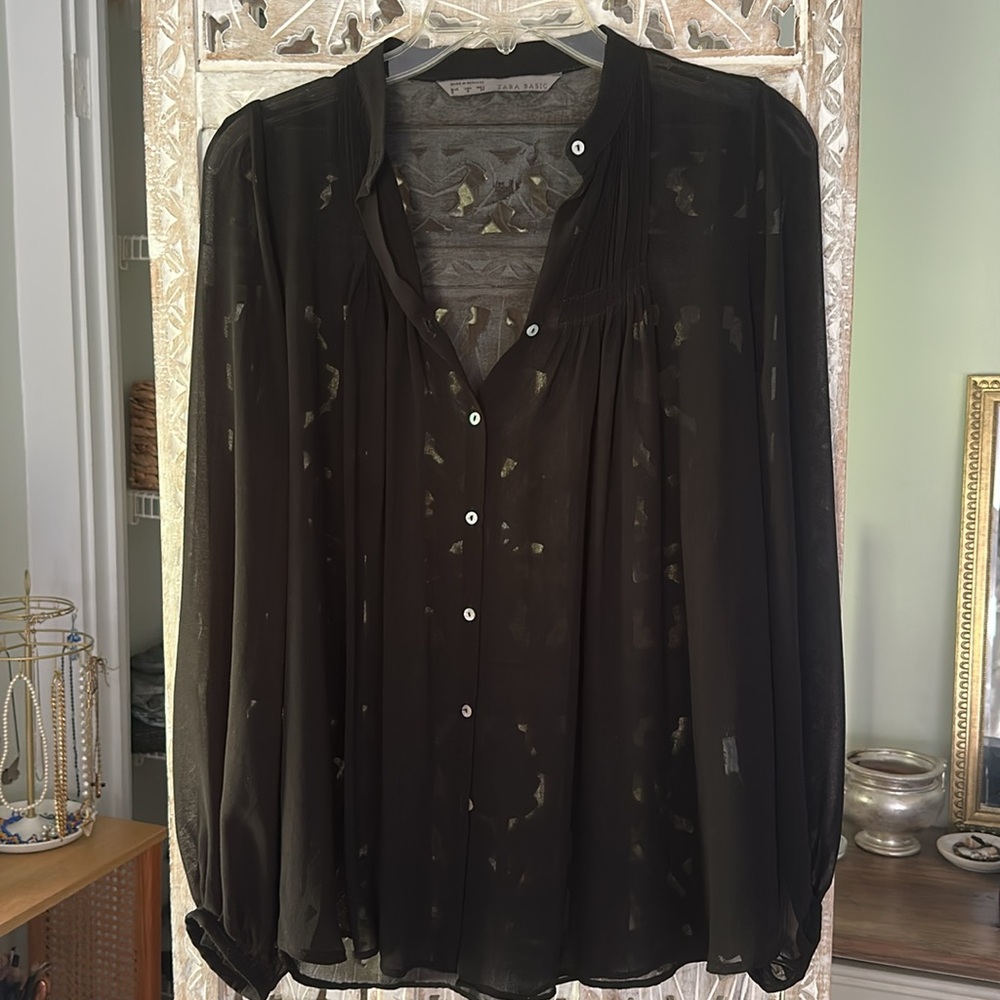 Zara Black Sheer Button-Up Blouse
